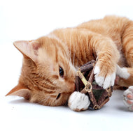 Silvervine Bark Dental Chew Toy For Cats-Furbaby Friends Gifts