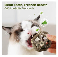 Load image into Gallery viewer, Silvervine Bark Dental Chew Toy For Cats-Furbaby Friends Gifts