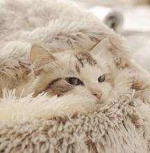 Charger l'image dans la galerie, Snuggle Cat Bed - Furbaby Friend Gifts Cat bed