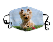 Load image into Gallery viewer, Sunshine Yorkie-Furbaby Friends Gifts