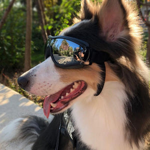 Sun/Snowgoggles - Windproof, UV Protection-Furbaby Friends Gifts