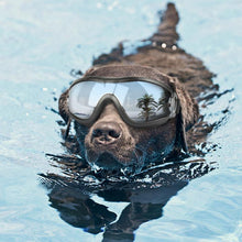 Afbeelding in Gallery-weergave laden, Sun/Snowgoggles - Windproof, UV Protection-Furbaby Friends Gifts
