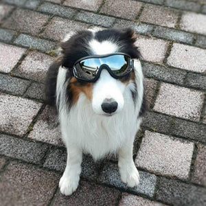 Sun/Snowgoggles - Windproof, UV Protection-Furbaby Friends Gifts