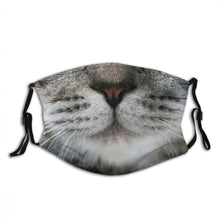 Afbeelding in Gallery-weergave laden, Tabby Face-Furbaby Friends Gifts
