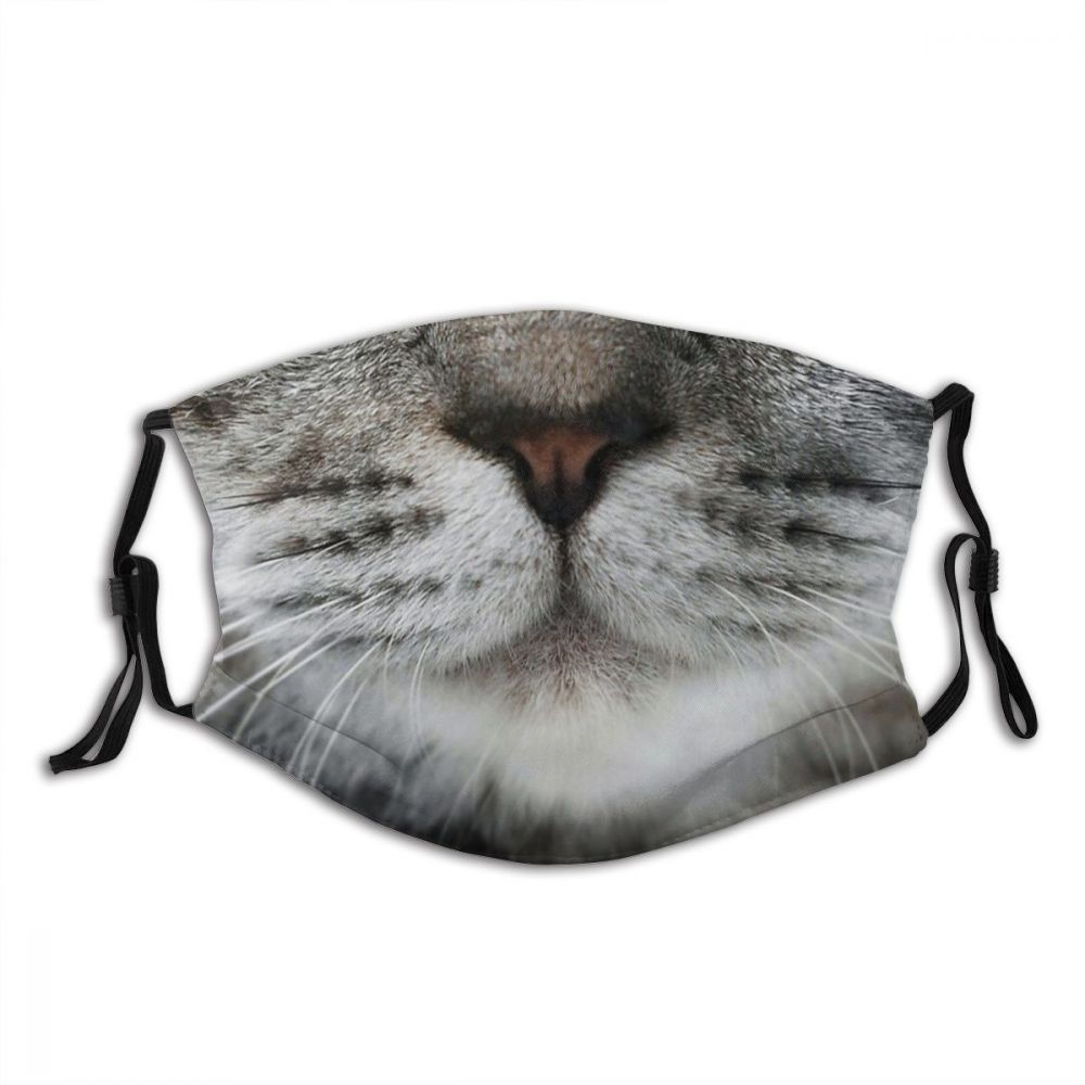 Tabby Face-Furbaby Friends Gifts