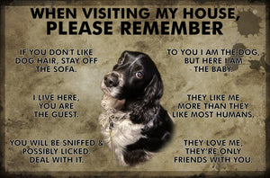 Visitors Note! Customisable Pet Lovers' Entrance Plaques-Furbaby Friends Gifts