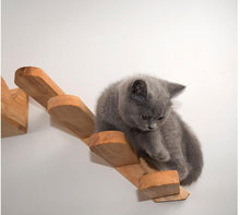 Laden Sie das Bild in den Galerie-Viewer, Wall Mounted Cat Climber-Furbaby Friends Gifts