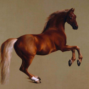 'Whistlejacket' by George Stubbs-Furbaby Friends Gifts