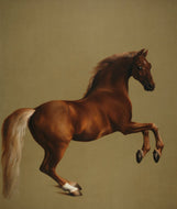 'Whistlejacket' by George Stubbs-Furbaby Friends Gifts