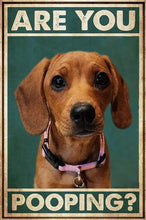 Load image into Gallery viewer, Wonderful Dog-Themed Wall Plaques-Furbaby Friends Gifts