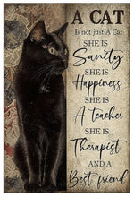 Carica l&#39;immagine nel visualizzatore di Gallery, Beautiful &amp; Sentimental Kitty Plaques-Furbaby Friends Gifts