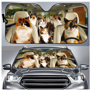 Dog car window screen deals